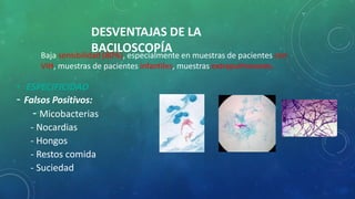 Baja sensibilidad (80%), especialmente en muestras de pacientes con
VIH, muestras de pacientes infantiles, muestras extrapulmonares.
• ESPECIFICIDAD
- Falsos Positivos:
- Micobacterias
- Nocardias
- Hongos
- Restos comida
- Suciedad
DESVENTAJAS DE LA
BACILOSCOPÍA
 