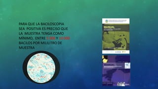 PARA QUE LA BACILOSCOPIA
SEA POSITIVA ES PRECISO QUE
LA MUESTRA TENGA COMO
MÍNIMO, ENTRE 5 000 Y 10 000
BACILOS POR MILILITRO DE
MUESTRA
 