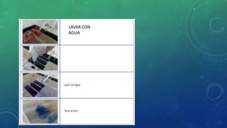 LAVAR CON
AGUA
Tinción de fondo con azul de
metileno durante 1 minuto
Lavar con agua
Secar al aire
 