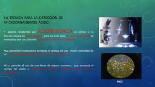 LA TÉCNICA PARA LA DETECCIÓN DE
MICROORGANISMOS ÁCIDO
• alcohol resistentes por FLUORESCENCIA es similar a la
tinción clásica de Ziehl Neelsen, pero en este caso, la fucsina fenicada se
reemplaza por un colorante fluorescente con fenol agregado.
•La coloración fluorescente presenta la ventaja de una mayor visibilidad de
un microorganismo fluorescente contra un fondo oscuro.
•Esto permite el uso de una lente de menor aumento, que aumenta el
campo de visión y disminuye el tiempo necesario para evaluar la
preparación.
400X
 