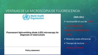 VENTAJAS DE LA MICROSCOPIA DE FLUORESCENCIA
OMS 2011
 recomendó el uso de la MF
con lampará LED.
 Mayor sensibilidad (6% -
10%).
 Relación costo-eficiencia.
 Tiempo de lectura se
reduce a la mitad.
 