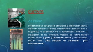 CULTIVOS
OBJETIVOS
Proporcionar al personal de laboratorio la información técnica
detallada necesaria sobre los procedimientos técnicos, para el
diagnóstico y aislamiento de la Tuberculosis, mediante la
descripción de los principales métodos de cultivo usado:
medios sólidos (Ogawa y Löwenstein Jensen) y medio líquido
BACTEC MGIT (Tubo indicador de crecimiento para
Mycobacterium).
 