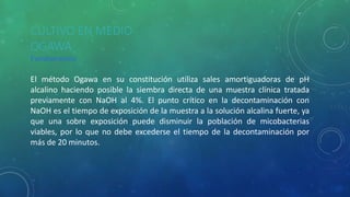 CULTIVO EN MEDIO
OGAWA
Fundamento
El método Ogawa en su constitución utiliza sales amortiguadoras de pH
alcalino haciendo posible la siembra directa de una muestra clínica tratada
previamente con NaOH al 4%. El punto crítico en la decontaminación con
NaOH es el tiempo de exposición de la muestra a la solución alcalina fuerte, ya
que una sobre exposición puede disminuir la población de micobacterias
viables, por lo que no debe excederse el tiempo de la decontaminación por
más de 20 minutos.
 