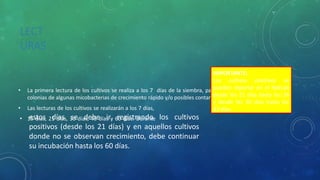 LECT
URAS
• La primera lectura de los cultivos se realiza a los 7 días de la siembra, para evidenciar el desarrollo de
colonias de algunas micobacterias de crecimiento rápido y/o posibles contaminantes.
• Las lecturas de los cultivos se realizarán a los 7 días,
• 15 días, 21 días, 30 días, 45 días y 60 días. Durante
estos días se debe ir registrando los cultivos
positivos (desde los 21 días) y en aquellos cultivos
donde no se observan crecimiento, debe continuar
su incubación hasta los 60 días.
IMPORTANTE:
Los cultivos positivos se
pueden reportar en el NetLab
desde los 21 días hasta los 24
y desde los 30 días hasta los
33 días.
 