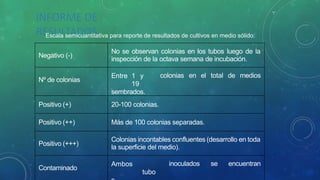 Negativo (-)
No se observan colonias en los tubos luego de la
inspección de la octava semana de incubación.
Nº de colonias
Entre 1 y
19
sembrados.
colonias en el total de medios
Positivo (+) 20-100 colonias.
Positivo (++) Más de 100 colonias separadas.
Positivo (+++)
Colonias incontables confluentes (desarrollo en toda
la superficie del medio).
Contaminado
Ambos
tubo
inoculados se encuentran
INFORME DE
RESULTADOS
Escala semicuantitativa para reporte de resultados de cultivos en medio sólido:
 