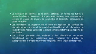 • La cantidad de colonias es la suma obtenida en todos los tubos si
desarrollan hasta 19 colonias. Si supera este número, para transformar la
lectura en escala de cruces, se promedia el desarrollo observado en
todos los tubos.
• Los resultados se registran en el libro de registros de cultivos del
laboratorio, así como en el sistema Informático NetLab v.2. y la lectura de
los cultivos se realiza siguiendo la escala semicuantitativa para reporte de
resultados.
• Los cultivos positivos son enviados a los laboratorios de mayor
complejidad de su jurisdicción para realizarse la prueba de
susceptibilidad a drogas de primera y segunda línea, según corresponda.
 