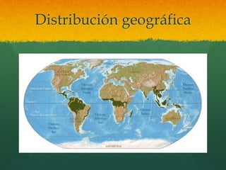 Distribución geográfica
 