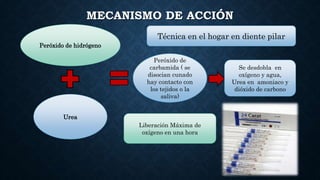 MECANISMO DE ACCIÓN
Peróxido de hidrógeno
Urea
Peróxido de
carbamida ( se
disocian cunado
hay contacto con
los tejidos o la
saliva)
Se desdobla en
oxígeno y agua,
Urea en amoniaco y
dióxido de carbono
Liberación Máxima de
oxígeno en una hora
Técnica en el hogar en diente pilar
 