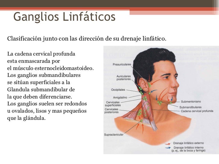 Los pinchazos el bloqueo a sheynom la osteocondrosis