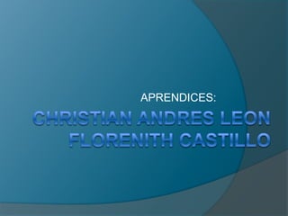 CHRISTIAN ANDRES LEONFLORENITH CASTILLO APRENDICES: 