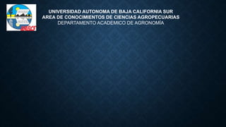 UNIVERSIDAD AUTONOMA DE BAJA CALIFORNIA SUR
AREA DE CONOCIMIENTOS DE CIENCIAS AGROPECUARIAS
DEPARTAMENTO ACADEMICO DE AGRONOMÍA
 
