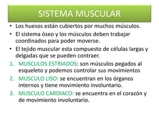 SISTEMA MUSCULAR
• Los huesos están cubiertos por muchos músculos.
• El sistema óseo y los músculos deben trabajar
coordinados para poder moverse.
• El tejido muscular esta compuesto de células largas y
delgadas que se pueden contraer.
1. MUSCULOS ESTRIADOS: son músculos pegados al
esqueleto y podemos controlar sus movimientos
2. MUSCULO LISO: se encuentran en los órganos
internos y tiene movimiento involuntario.
3. MUSCULO CARDIACO: se encuentra en el corazón y
de movimiento involuntario.
 
