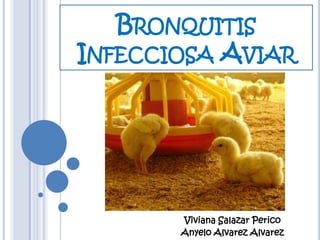 Bronquitis Infecciosa Aviar Viviana Salazar Perico Anyelo Alvarez Alvarez 