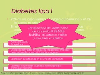 Diabetes tipo I
          95% de los casos tienen un origen autoinmune y el 5%
             la causa es desconocida.
           En el origen La velocidad de destrucción algunas
                        autoinmune se encuentran
             alteracionesde las células βhumorales y celulares
                            en las líneas ES MÁS
             como son:  RÁPIDA en lactantes y niños
                                       y más lenta en adultos.
           Anticuerpos contra las células β de los islotes de
           Langerhans

           Linfocitos activados en los islotes, los ganglios linfáticos
           peri-pancreaticos y en el torrente sanguíneo.


           Liberación de citocinas en el seno de la insulinitis


           Los linfocitos T proliferan cuando son estimulados por
           proteínas de los islotes.

Terapéutica farmacológica Ernesto Cardona Muñoz , Jesús A. curiel editorial Cuellar Ayala pagina 33
 