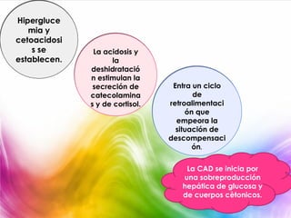 Hipergluce
   mia y
cetoacidosi
    s se       La acidosis y
establecen.         la
              deshidratació
              n estimulan la
               secreción de       Entra un ciclo
              catecolamina              de
              s y de cortisol.   retroalimentaci
                                      ón que
                                   empeora la
                                   situación de
                                 descompensaci
                                        ón.


                                     La CAD se inicia por
                                    una sobreproducción
                                    hepática de glucosa y
                                    de cuerpos cètonicos.
 