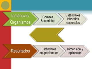 Instancias/    Comités
                              Estándares
                               laborales
Organismos    Sectoriales
                              nacionales




               Estándares     Dimensión y
Resultados    ocupacionales    aplicación
 