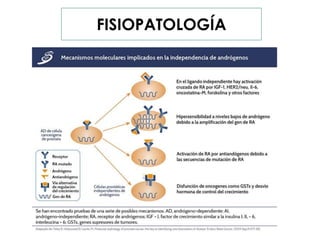 FISIOPATOLOGÍA
 