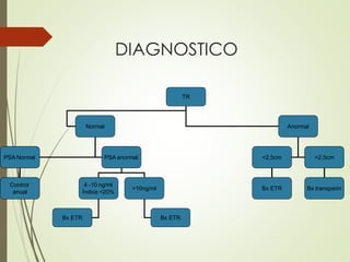 DIAGNOSTICO
TR
Normal Anormal
<2,5cm >2,5cm
Bx ETR Bx transperin
PSA Normal PSA anormal
Control
anual
4 -10 ng/ml
Índice <20%
>10ng/ml
Bx ETR Bx ETR
 