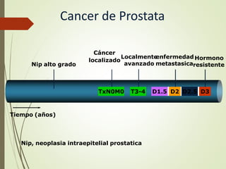 Cancer de Prostata
Tiempo (años)
Nip alto grado
D1.5 D2 D2.5 D3
TxN0M0 T3-4
Localmente
enfermedadHormono
Cáncer
localizado
avanzado metastasicaresistente
Nip, neoplasia intraepitelial prostatica
 