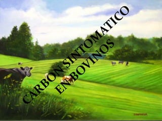 Expo carbon sintomatico