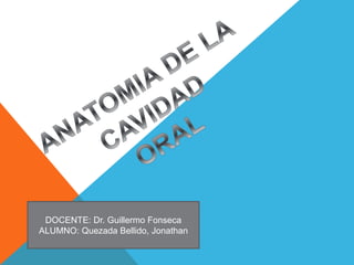 DOCENTE: Dr. Guillermo Fonseca 
ALUMNO: Quezada Bellido, Jonathan 
 