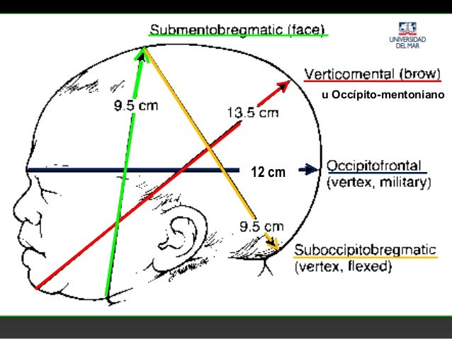 Historia Clinica obstetrica