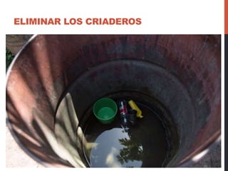 ELIMINAR LOS CRIADEROS
 