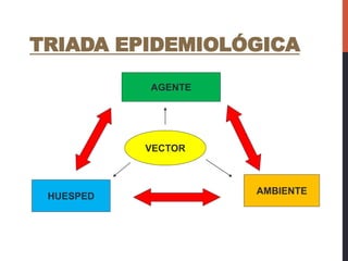 TRIADA EPIDEMIOLÓGICA
AGENTE
HUESPED
AMBIENTE
VECTOR
 