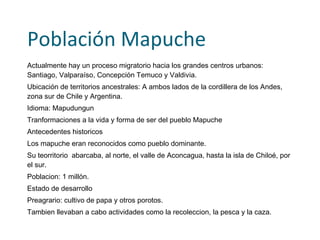población indígena. Le siguen aymara (7%) y atacameño (3%). El 