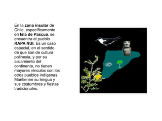 En la  zona insular  de Chile, específicamente en  Isla de Pascua , se encuentra el pueblo  RAPA NUI . Es un caso especial, en el sentido de que son de cultura polinesia, y por su aislamiento del continente, no tienen mayores vínculos con los otros pueblos indígenas. Mantienen su lengua y sus costumbres y fiestas tradicionales. 