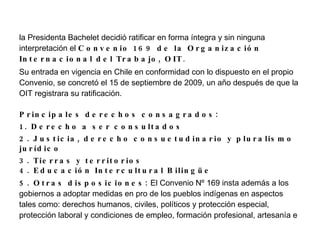Tambien llevaban a cabo actividades como la recoleccion, la pesca y la caza. 