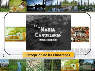 www.themegallery.com Company Logo Percepción de las Chinampas 