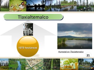 Tlaxialtemalco Humedal en Tlaxialtemalco 1070 hectáreas 