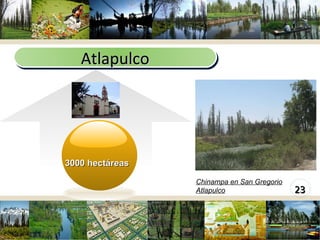 www.themegallery.com Atlapulco Chinampa en San Gregorio Atlapulco 3000 hectáreas 