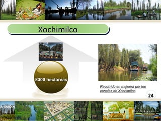 8300 hectáreas  www.themegallery.com Xochimilco Recorrido en trajinera por los canales de Xochimilco 