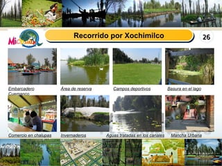 Recorrido por Xochimilco Embarcadero Cuemanco Área de reserva Campos deportivos Basura en el lago Comercio en chalupas Invernaderos Aguas tratadas en los canales Mancha Urbana 