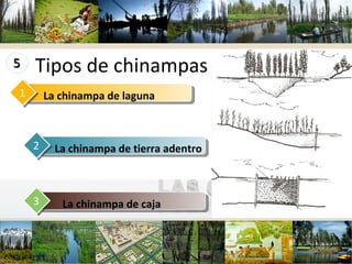 chinampa de caja  www.themegallery.com Tipos de chinampas La chinampa de laguna 1 La chinampa de tierra adentro 2 La chinampa de caja  3 