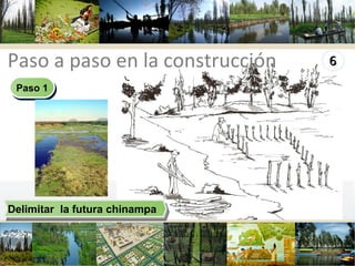 Paso a paso en la construcción Delimitar  la futura chinampa Paso 1 
