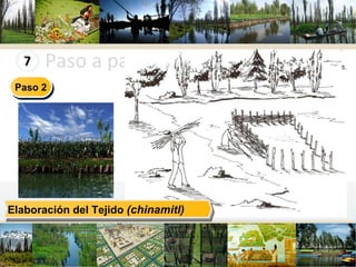 Paso a paso en la construcción Elaboración del Tejido  (chinamitl) Paso 2 