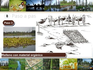 Paso a paso en la construcción Paso 3 Relleno con material orgánico 