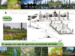 Paso a paso en la construcción Se agrega una capa de agua-lodo proveniente del fondo  Paso 4 