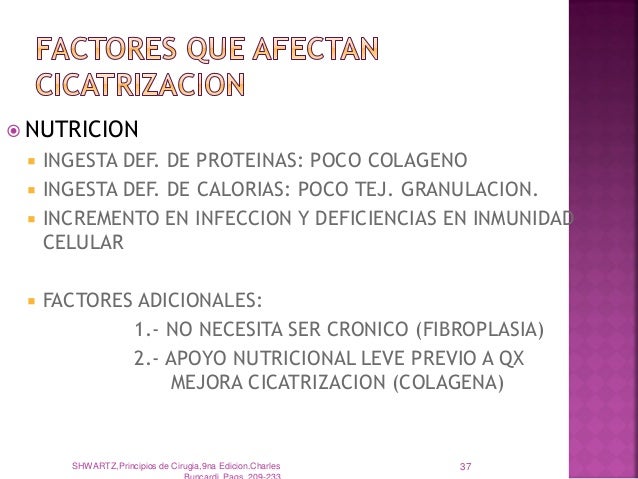 CICATRIZACION DE HERIDAS