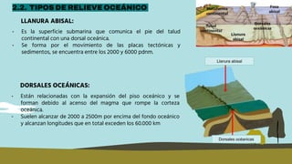 LLANURA ABISAL:
2.2. TIPOS DE RELIEVE OCEÁNICO
• Es la superficie submarina que comunica el pie del talud
continental con una dorsal oceánica.
• Se forma por el movimiento de las placas tectónicas y
sedimentos, se encuentra entre los 2000 y 6000 pdnm.
DORSALES OCEÁNICAS:
• Están relacionadas con la expansión del piso oceánico y se
forman debido al acenso del magma que rompe la corteza
oceánica.
• Suelen alcanzar de 2000 a 2500m por encima del fondo oceánico
y alcanzan longitudes que en total exceden los 60.000 km
Llanura abisal
Dorsales océanicas
 
