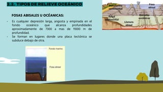 FOSAS ABISALES U OCÉANICAS:
2.2. TIPOS DE RELIEVE OCEÁNICO
• Es cualquier depresión larga, angosta y empinada en el
fondo oceánico que alcanza profundidades
aproximadamente de 7300 a mas de 11000 m de
profundidad.
• Se forman en lugares donde una placa tectónica se
subduce debajo de otra.
 