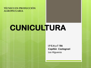 I.P.E.A.y.T 186
Capitán Castagnari
Las Higueras
CUNICULTURA
TÉCNICO EN PRODUCCIÓN
AGROPECUARIA
 