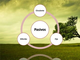 Activo CirculanteCaja 