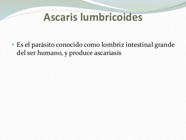 Si perecen los parásitos del alcohol