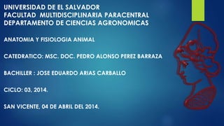 UNIVERSIDAD DE EL SALVADOR
FACULTAD MULTIDISCIPLINARIA PARACENTRAL
DEPARTAMENTO DE CIENCIAS AGRONOMICAS
ANATOMIA Y FISIOLOGIA ANIMAL
CATEDRATICO: MSC. DOC. PEDRO ALONSO PEREZ BARRAZA
BACHILLER : JOSE EDUARDO ARIAS CARBALLO
CICLO: 03, 2014.
SAN VICENTE, 04 DE ABRIL DEL 2014.
 