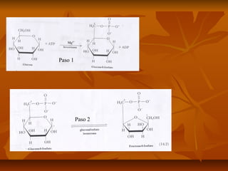 Paso 1




         Paso 2
 