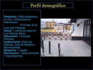 Perfil demográfico

Población: 3384 pobladores,
en Viví. Unifamiliares y
bifamiliares.
              1112 hab. En la
zona del Triángulo.
Salud: 1 centro de salud en
Las Delicias Norte.
Educación: 1 Escuela
Primaria.
Instituciones: Club Las
Delicias, Club de Madres y
Municipalidad.
Religioso: 1 capilla.
Recreación: 1 plaza principal,
1 losa deportiva
 